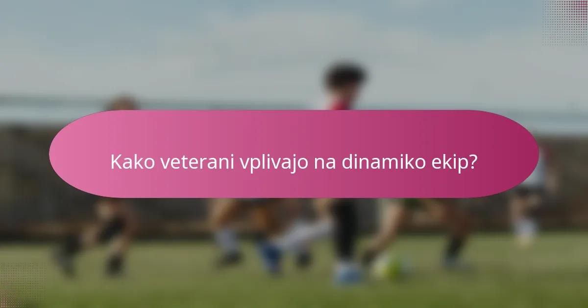 Kako veterani vplivajo na dinamiko ekip?